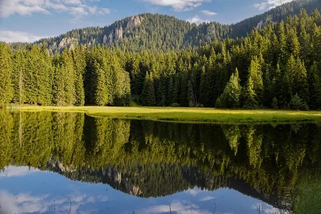 Comment Profiter d'une Escapade Bien-Être en Pleine Nature