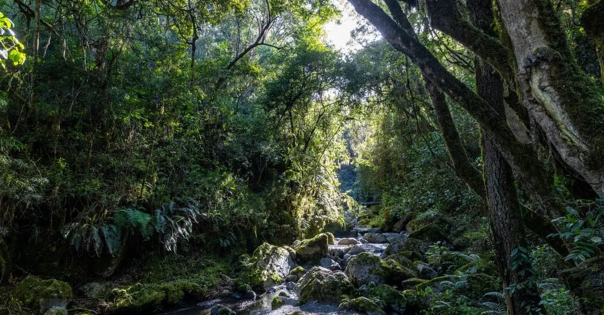 Les Bienfaits de l'Évasion Naturelle pour le Bien-Être