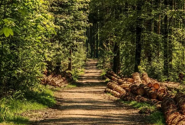 Les Bienfaits de la Méditation lors de Votre Escapade Bien-Être