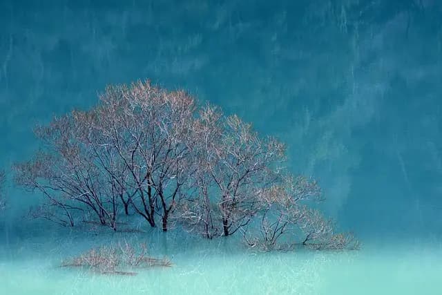 Comment Intégrer la Nature dans Votre Escapade Bien-Être