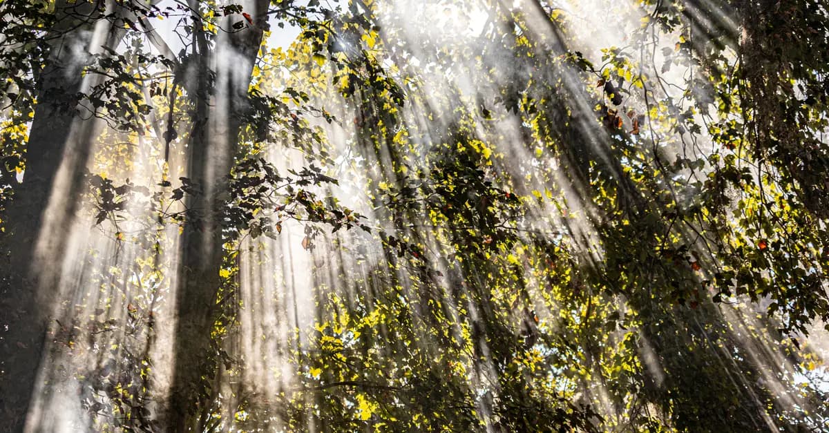 Les Rituels de Méditation à Adopter pour Votre Escapade