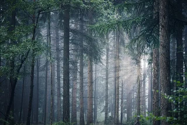 Comment Choisir la Meilleure Escapade Bien-Être pour Vous