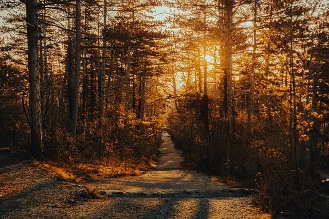 Top 5 des Activités de Plein Air pour votre Escapade Bien-Être