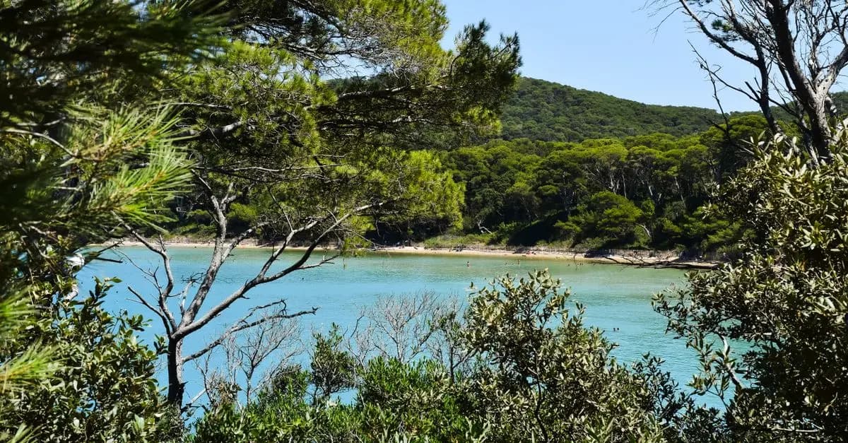 Le Chemin du Tai Chi Vers un Corps Harmonieux