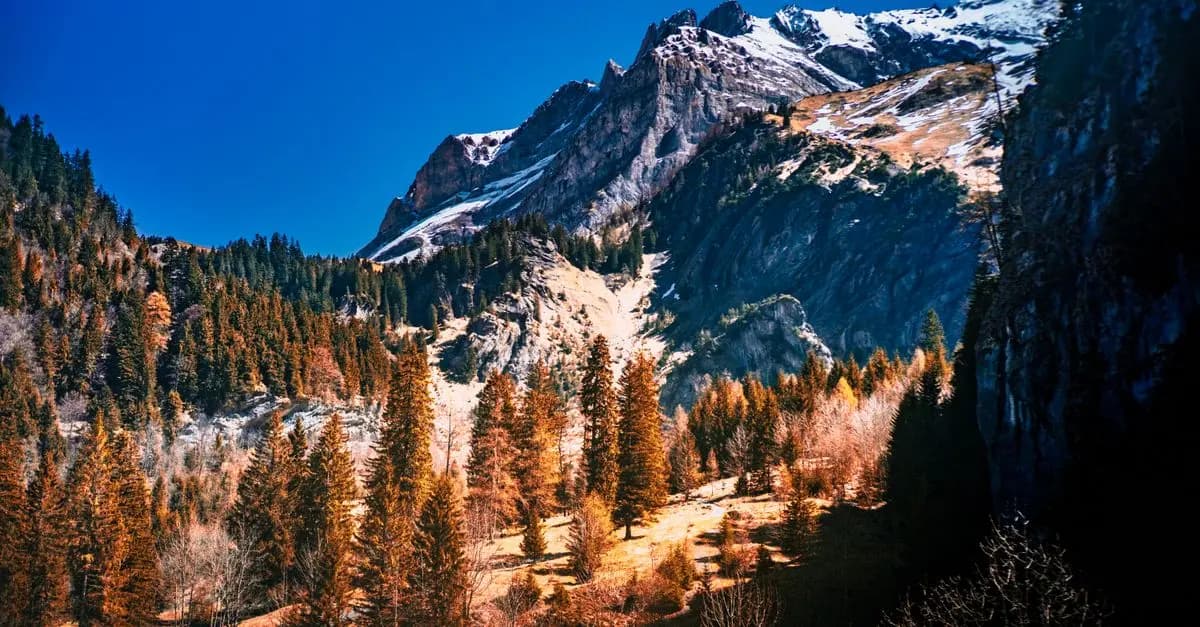 Comment Optimiser Votre Escapade Bien-Être en Nature