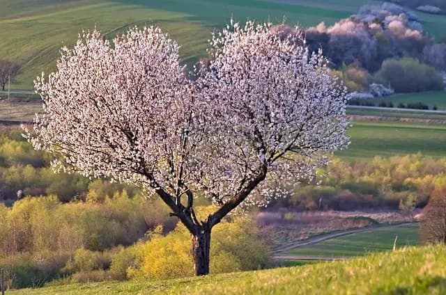 Les 5 Méthodes de Relaxation à Essayer lors de Votre Escapade