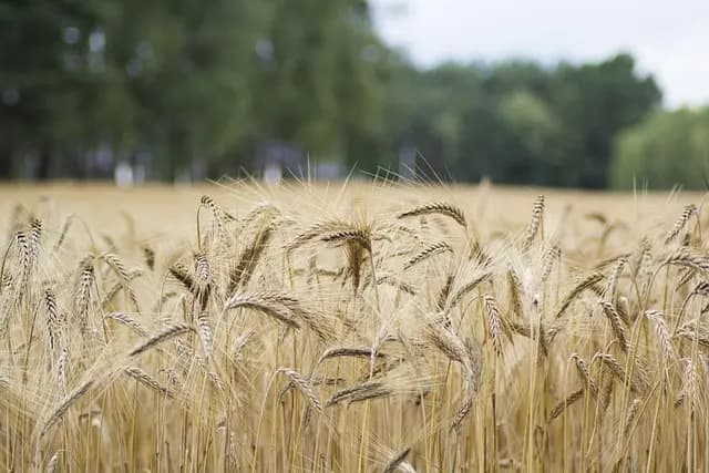 Les Secrets Pour Optimiser Votre Escapade Bien-Être