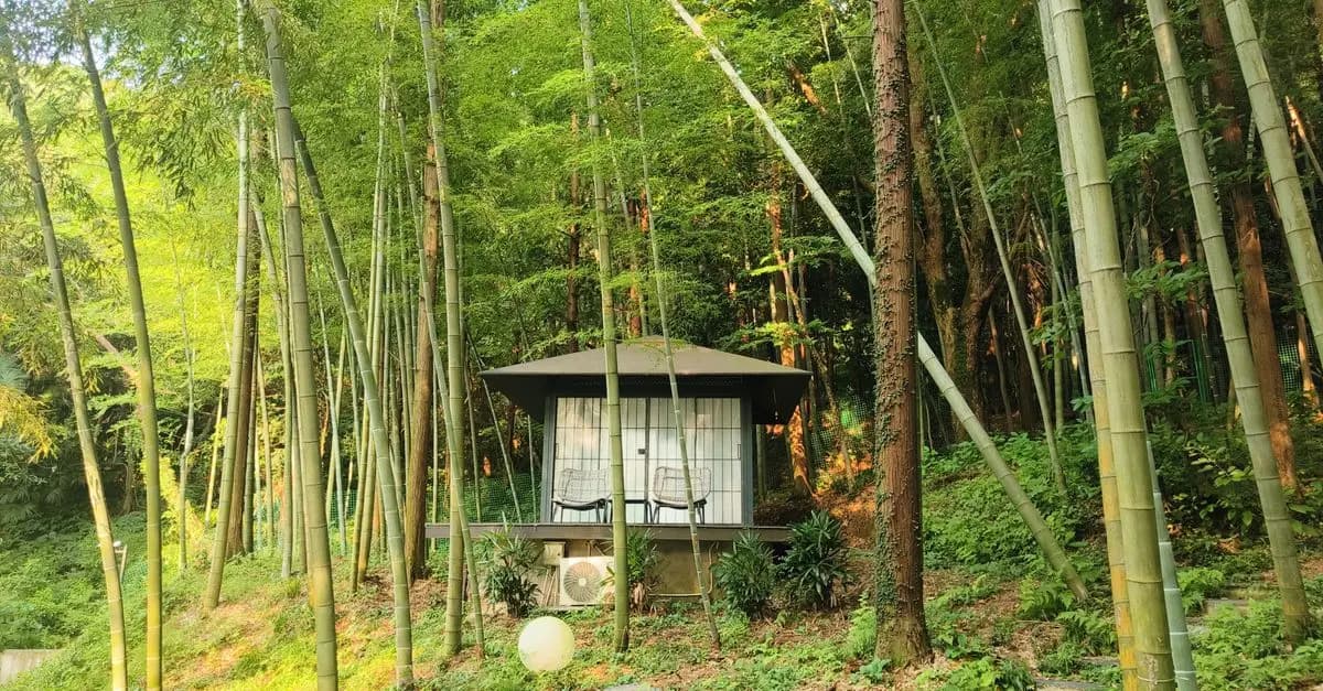 Les Meilleures Méthodes de Déconnexion pour Votre Escapade Bien-Être