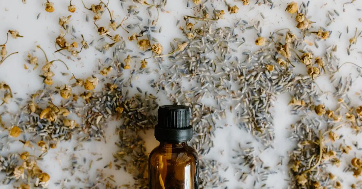 Les Apports de la Naturopathie au Bien-Être