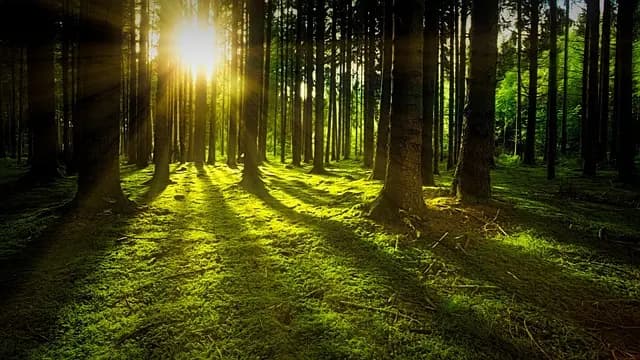 Comment Pratiquer le Digital Detox lors de Votre Escapade Bien-Être