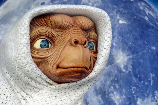 Voyager pour le Bien-Être : Les Erreurs à Éviter