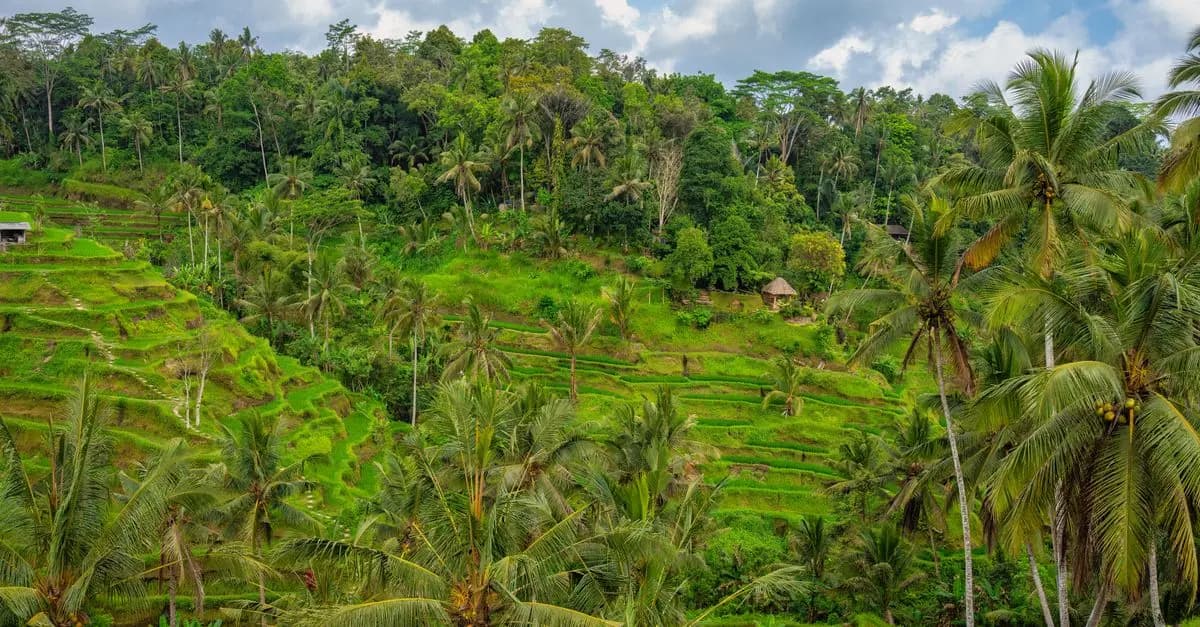 Les Meilleures Destinations pour une Escapade Bien-Être