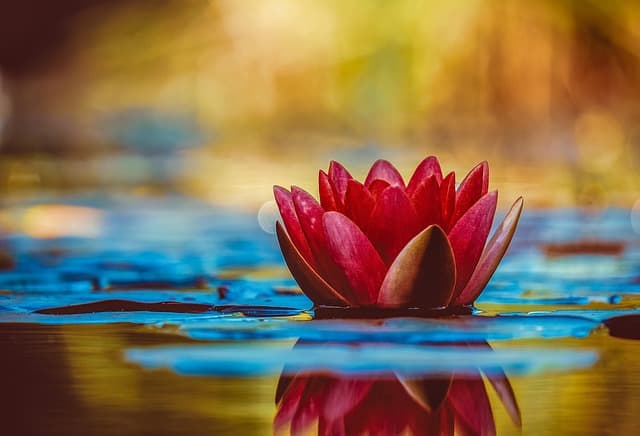 Les Rituels de Bien-Être à Pratiquer Pendant Votre Escapade