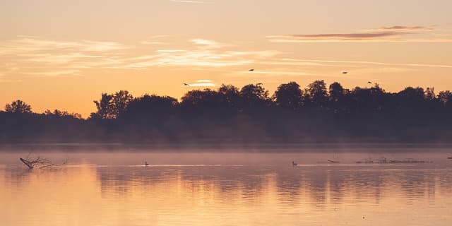 Les Meilleures Astuces pour Organiser votre Escapade Bien-Être