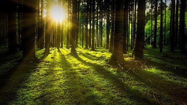 Les Meilleurs Rituels de Méditation à Intégrer lors de Votre Escapade